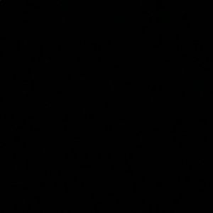 Meet your Posher, Willie